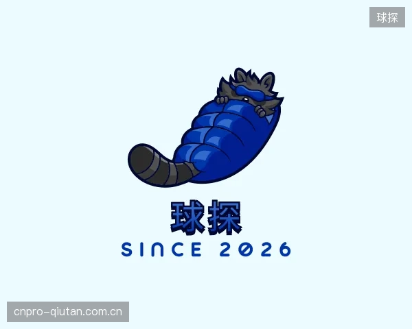 了解球探官网